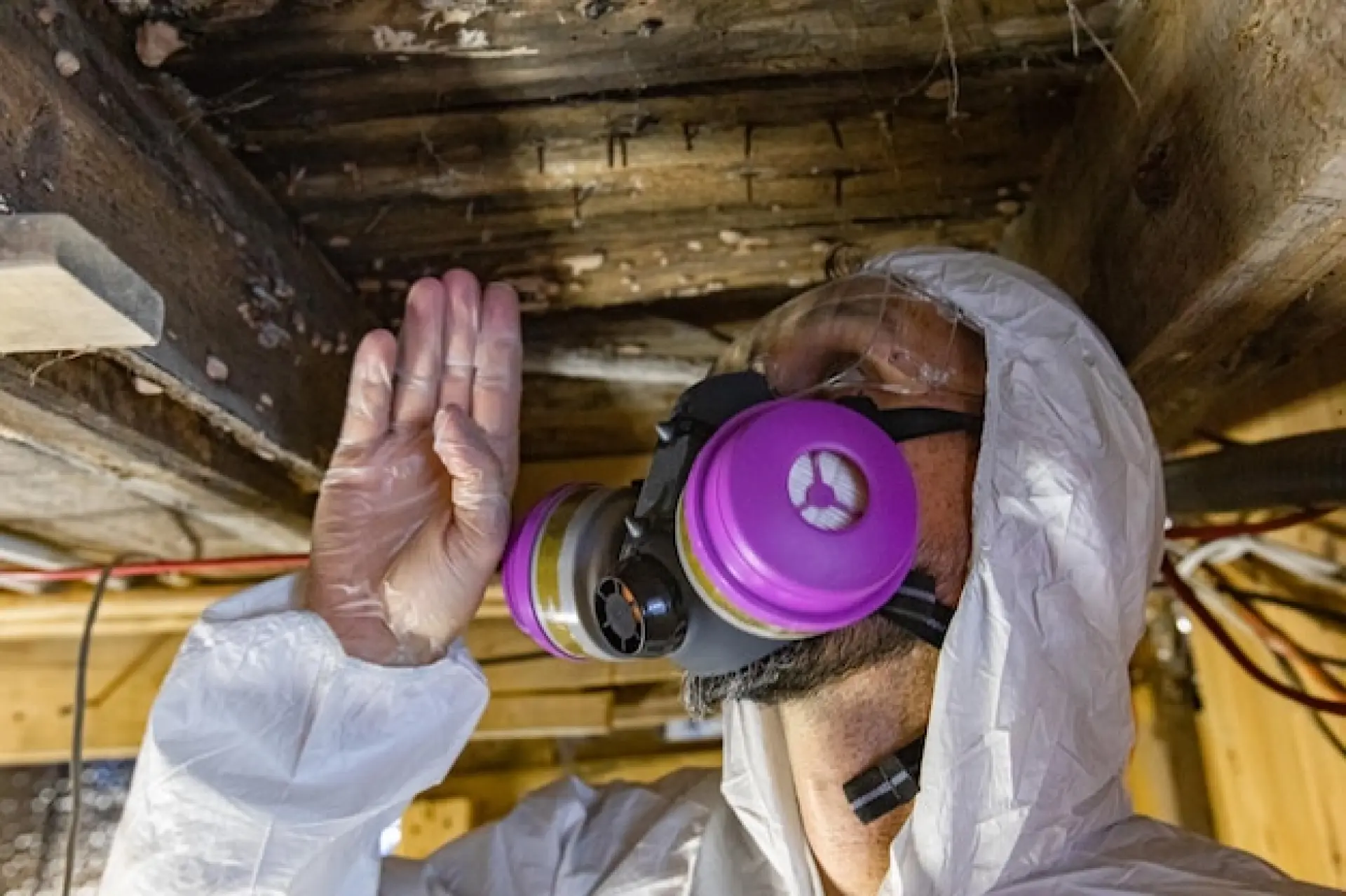 Asbestos Surveys Bournemouth, Poole and Christchurch