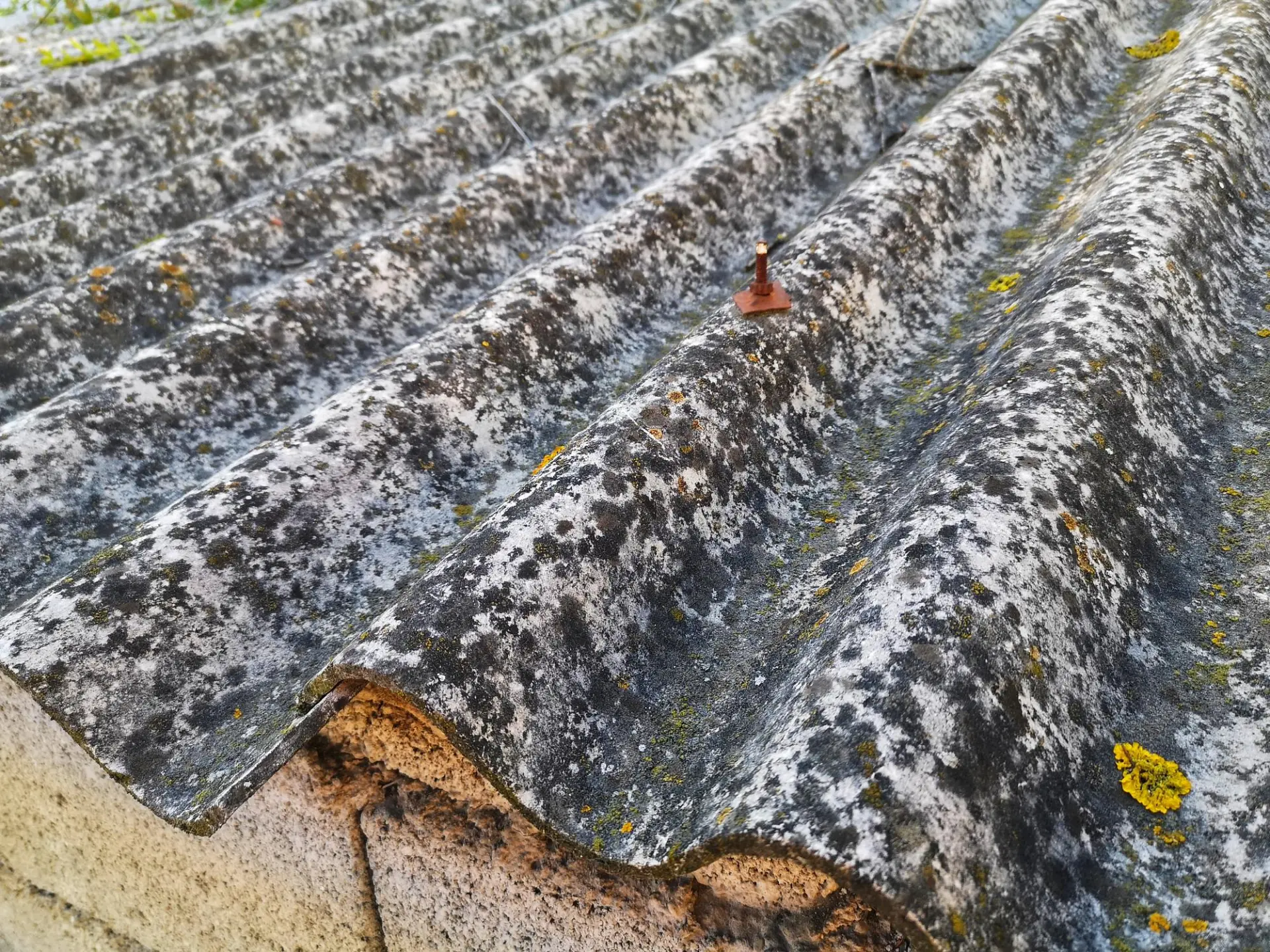 Asbestos Removal Broadstone