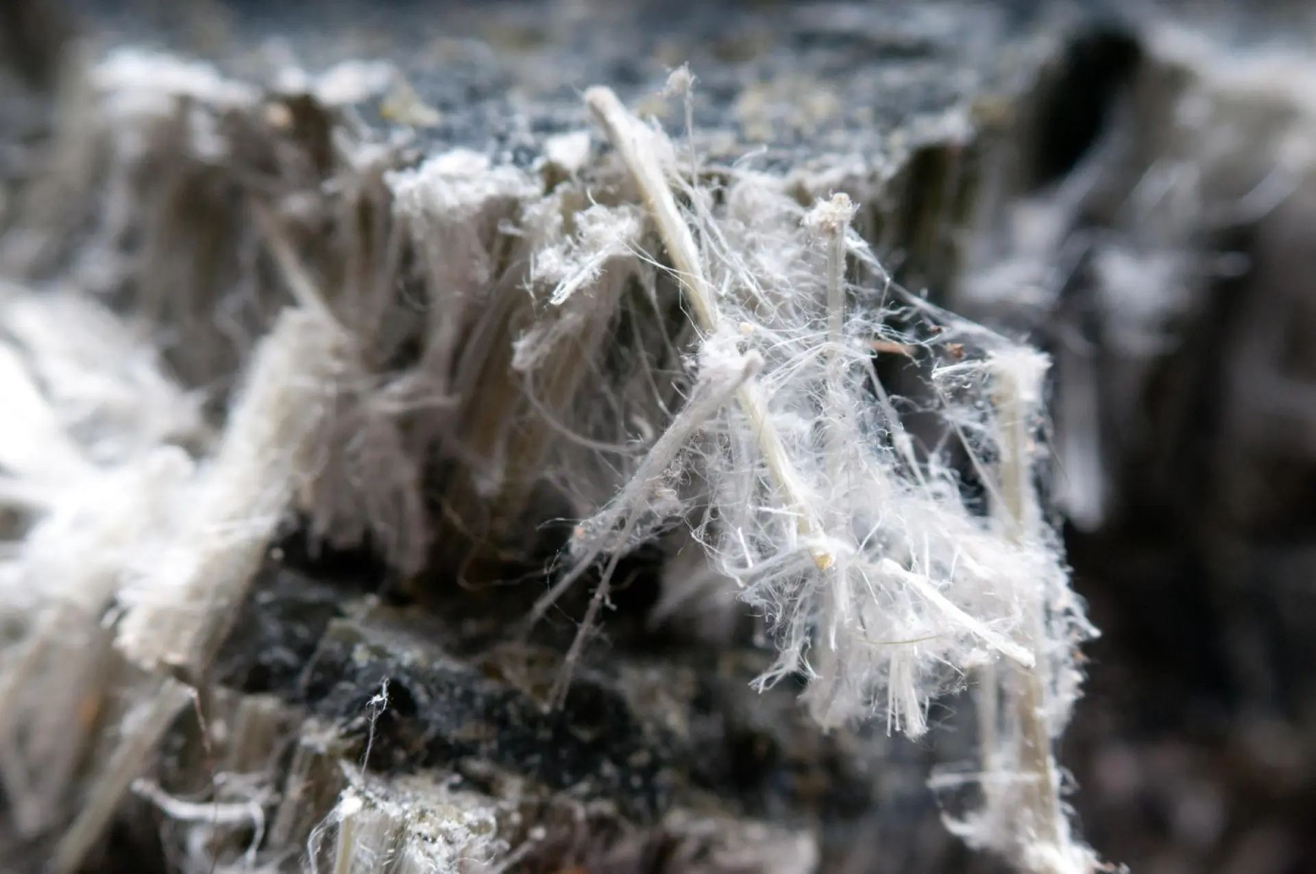 Asbestos Surveys Bournemouth, Poole and Christchurch